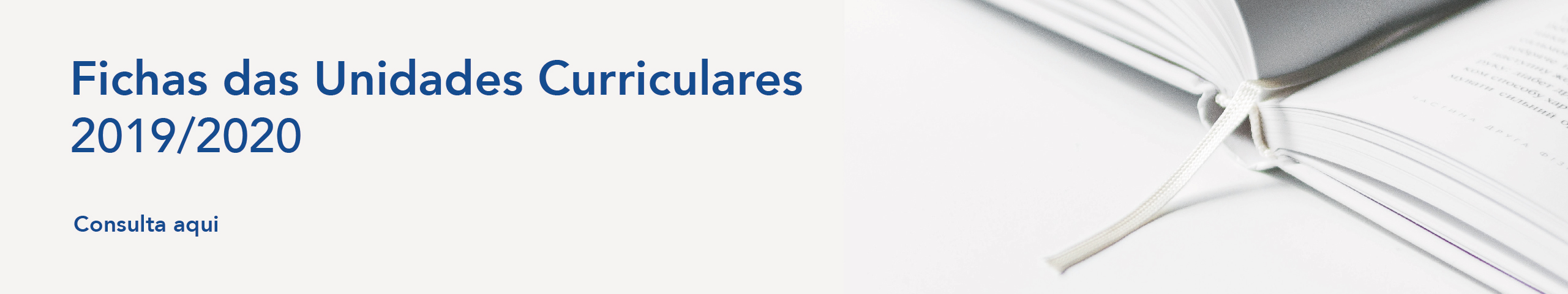 Fichas de unidades curriculares