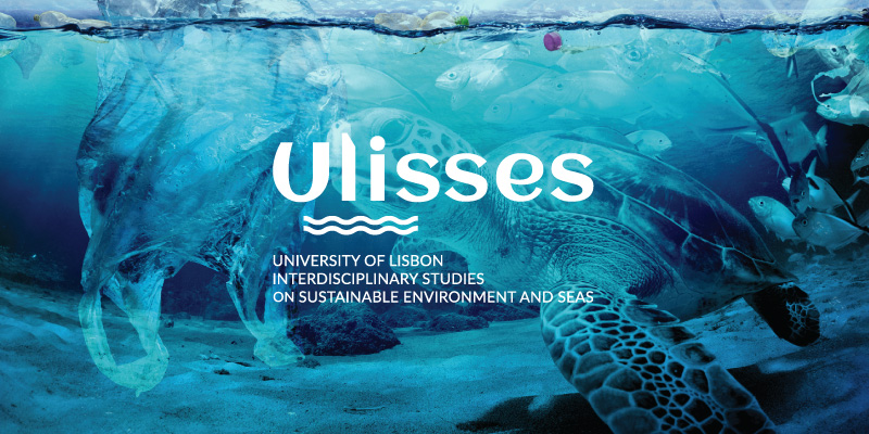 Candidaturas abertas ao projeto ULISSES de 11 de janeiro a 15 de fevereiro de 2021, no âmbito do da UNITE