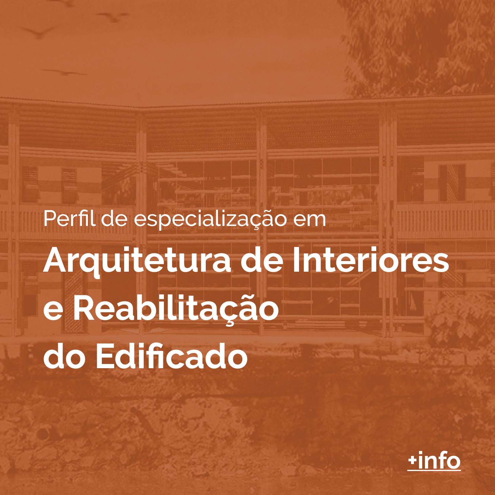 Reflexões sobre o ensino integrado do projeto de arquitetura by