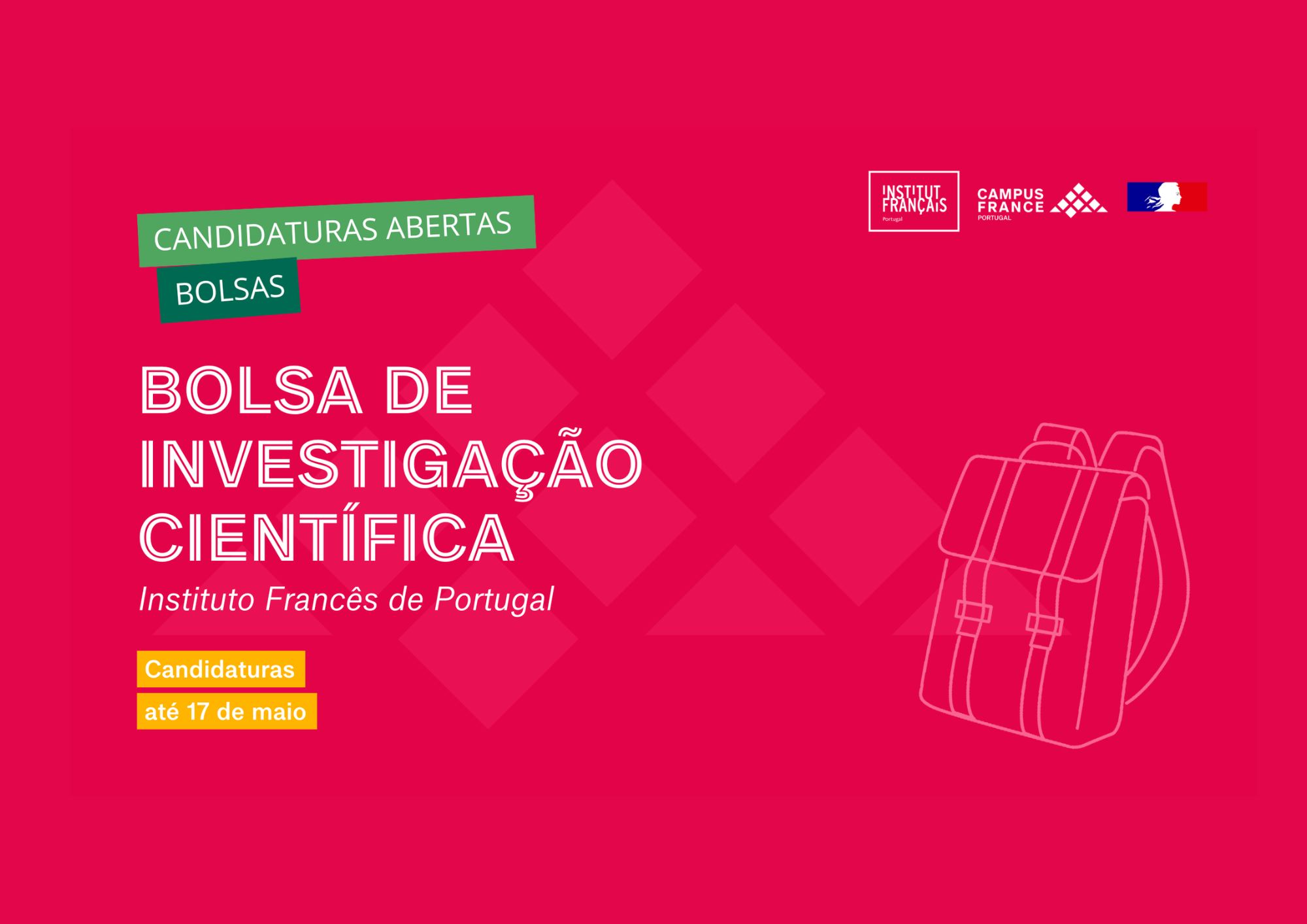 Concurso para Bolsa de Investigação Científica (BIC) doutoramento e pós-doutoramento a decorrer até 17 de maio de 2024