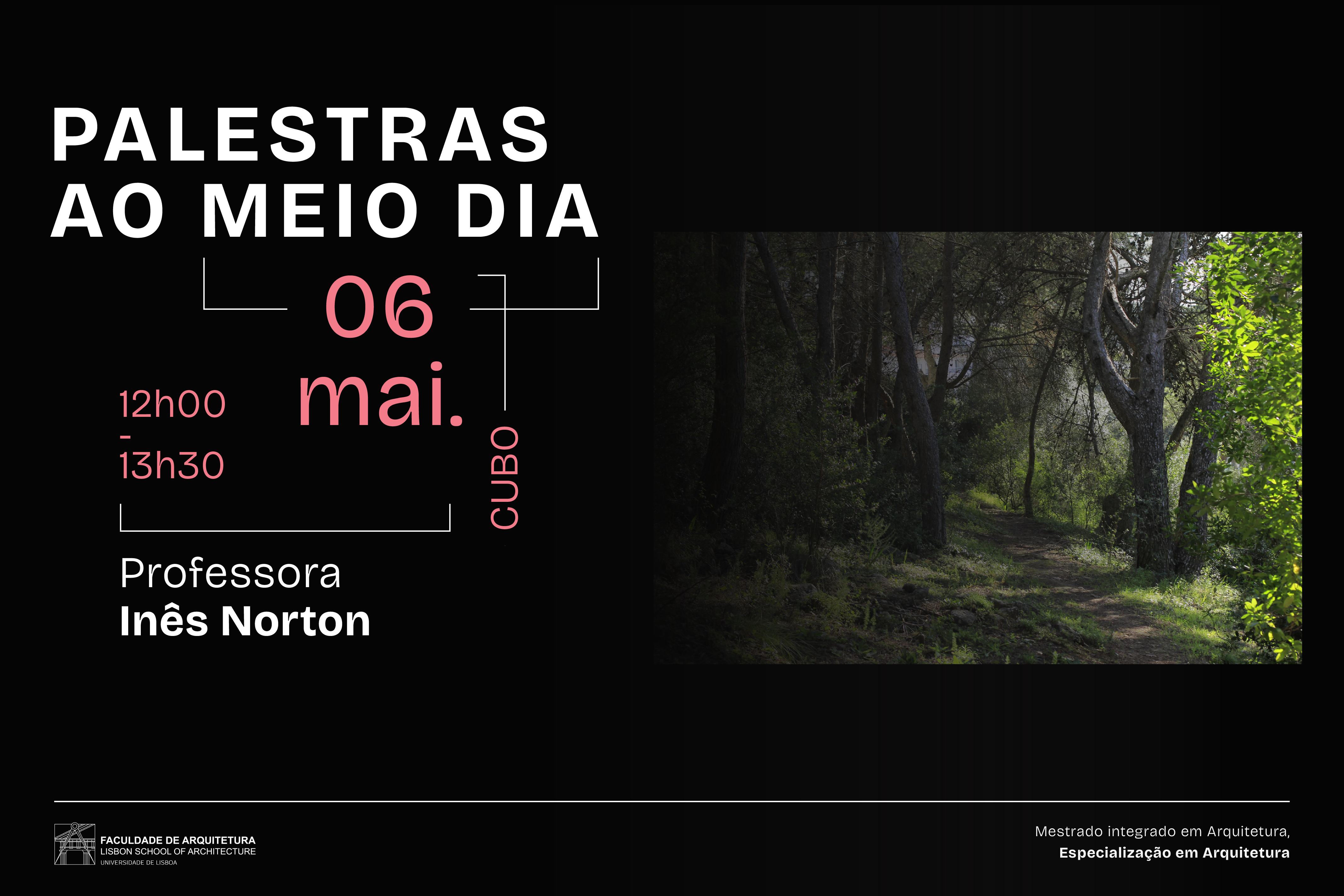Palestras ao meio dia com Inês Norton