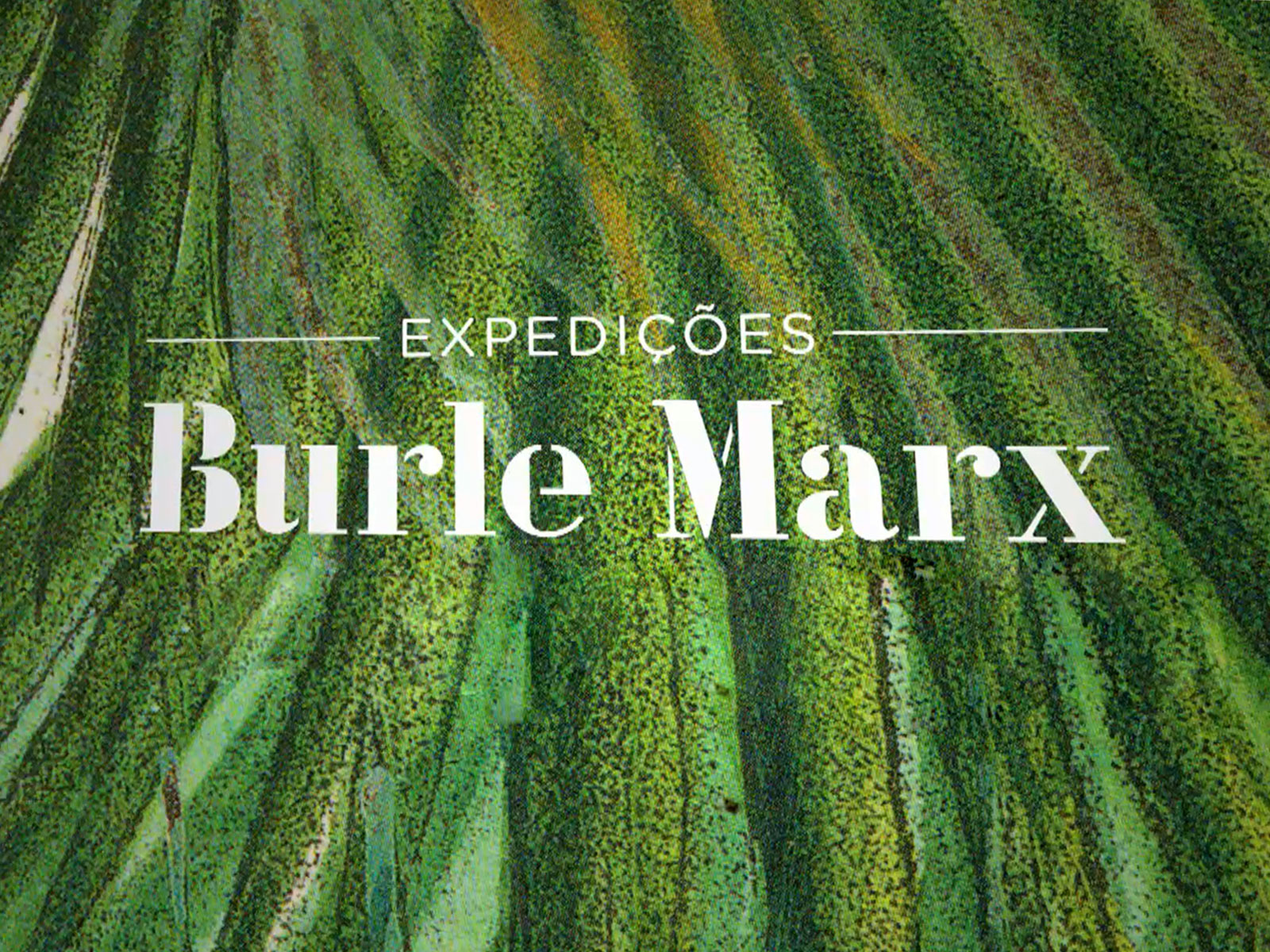 MAC/CCB | Exibição Documentário 