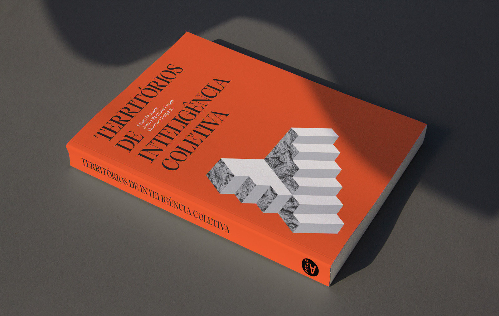 A Professora Lucinda Correia participa no livro 