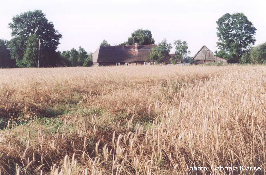 VERNADOC 2023 - Vernacular architecture documenting workshops - call for volunteers until 10th June