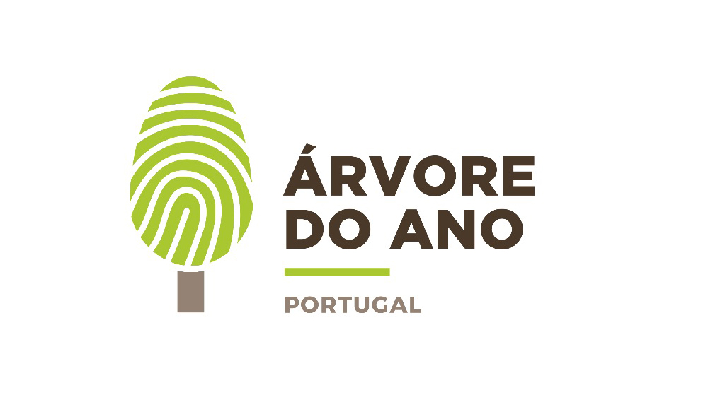 Quercus e Dragoeiro do ISA.ULisboa são finalistas para a Árvore do Ano 2019