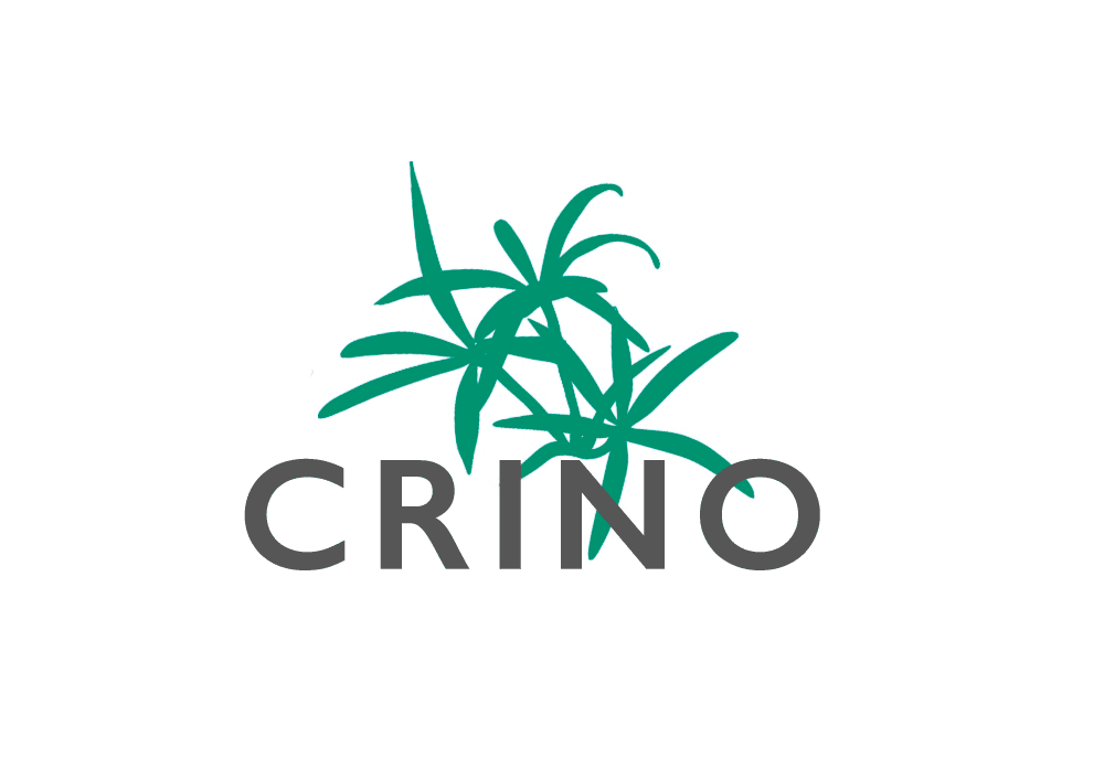 Foi criado o CRINO  (Centro de Rede para a Inovação e Novas Oportunidades) da FA
