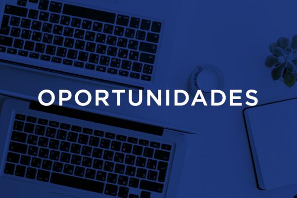 Abertura de becas (promovido pelo Grupo Tordesillas) para Professores Doutores de Universidades de Portugal e Brasil