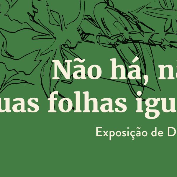 Alunos de Design em exposição na Estufa Fria de Lisboa