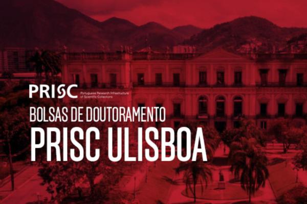 Bolsas de Doutoramento PRISC ULisboa