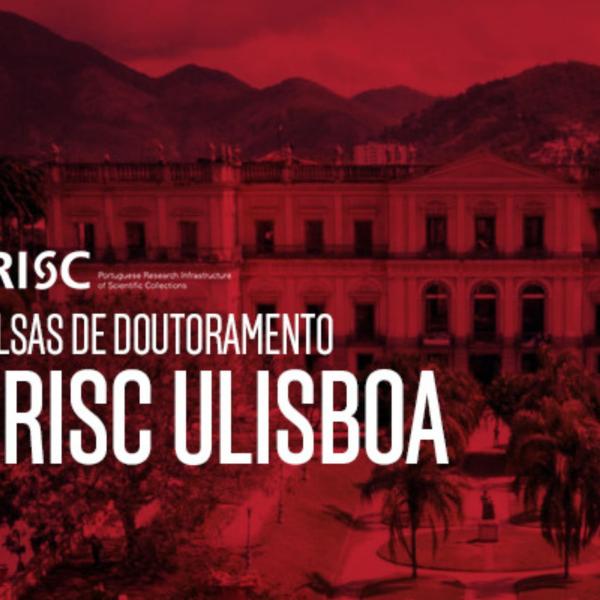 Bolsas de Doutoramento PRISC ULisboa
