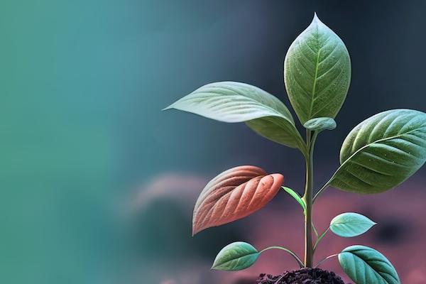 Candidaturas abertas para Unite! Seed Fund