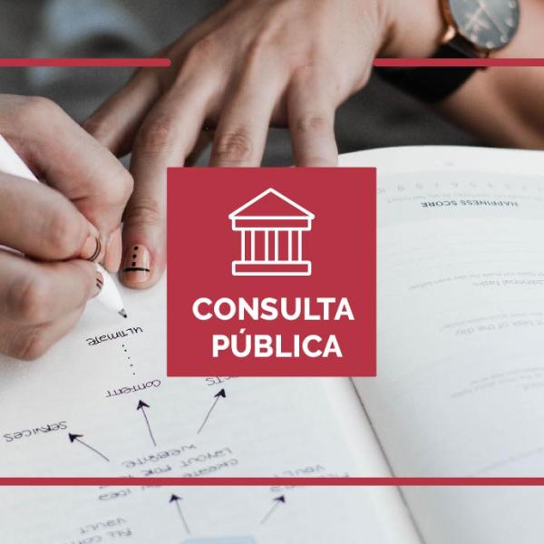Consulta pública do projeto de Regulamento dos Regimes de Reingresso, Mudança de Par Instituição/Curso e dos Concursos Especiais