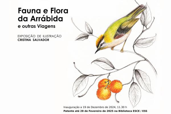 Exposição de ilustração 