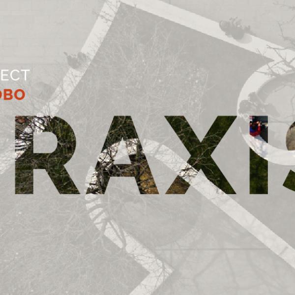 Praxis - Inês Lobo