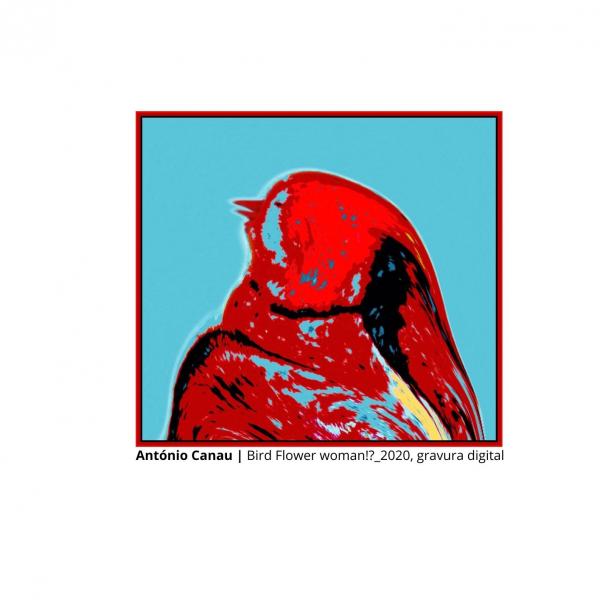 Professor Doutor António Canau vence Menção Honrosa no 5th AWAGAMI International Miniature Print Exhibition 2021