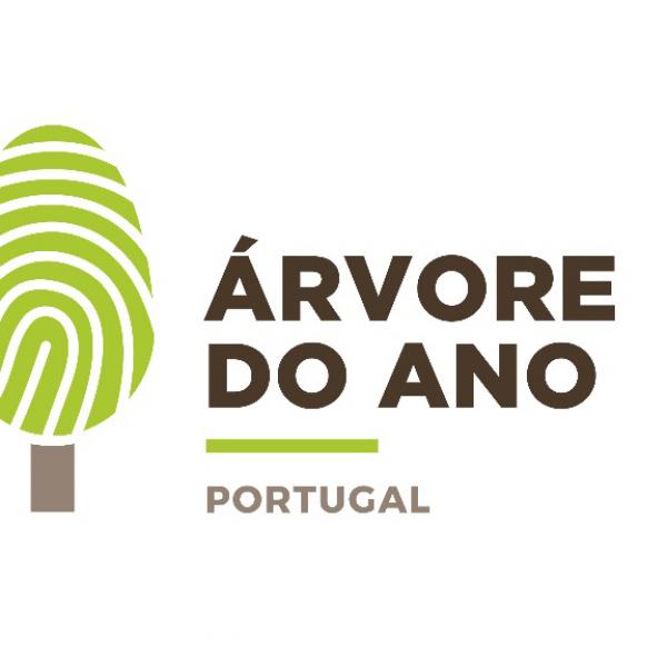 Quercus e Dragoeiro do ISA.ULisboa são finalistas para a Árvore do Ano 2019