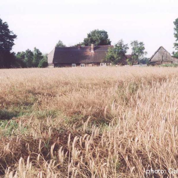 VERNADOC 2023 - Vernacular architecture documenting workshops - call for volunteers until 10th June